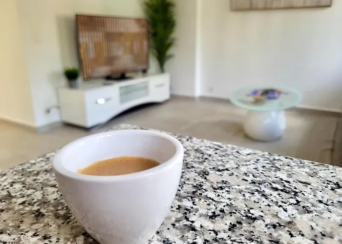 公寓 Palma - & Cozy With Free Private Parking 盧加諾